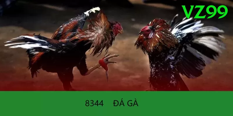 Đá Gà Trực Tiếp - vz99 - Patch mới